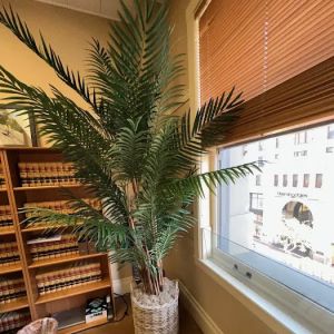 Law Office of Shelley S Feinberg