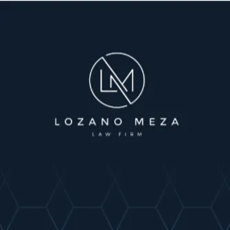 Lozano Meza Law Firm Picture 4