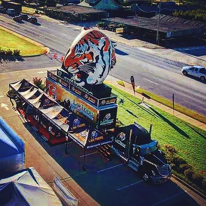 Law Tigers Picture 8