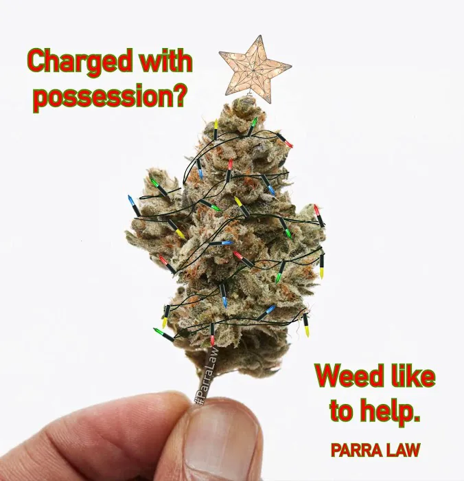 Parra Law - Manuel Parra Picture 10
