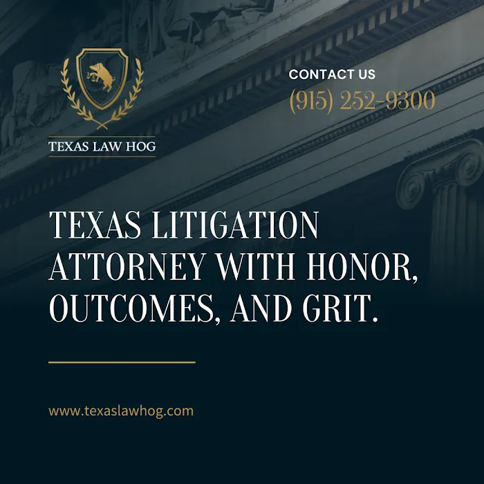 Texas Law Hog - DSG Law Firm, PLLC Picture 2