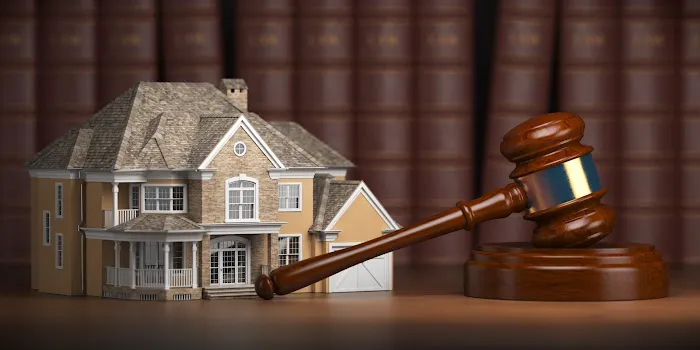 Texas Media Law Picture 2
