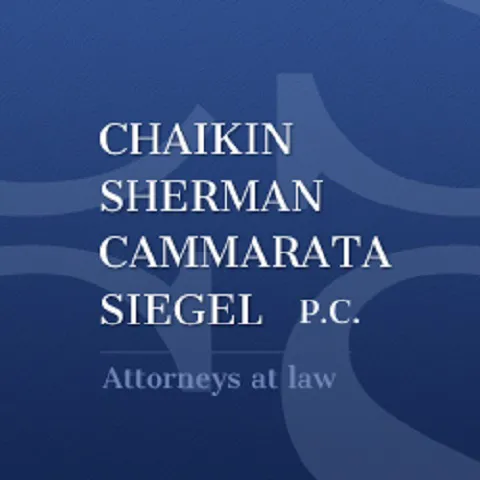 Allan M. Siegel Picture 2