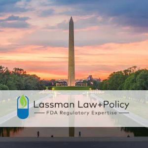 Lassman Law+Policy