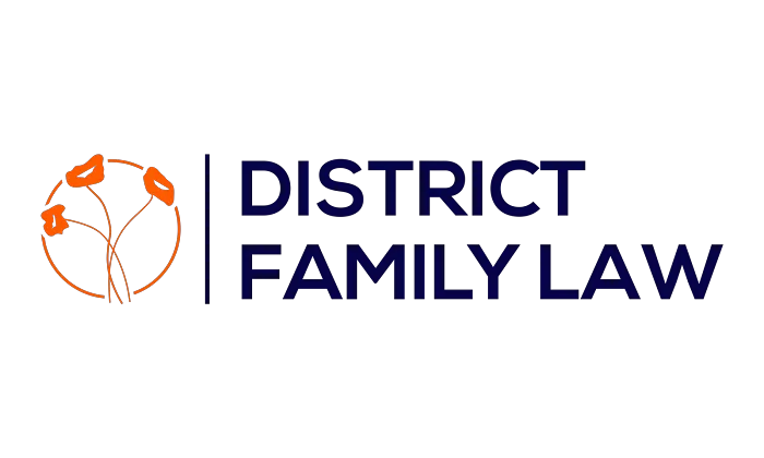 District Family Law Picture 1