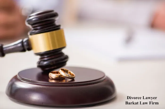 Barkat Law Firm Picture 5