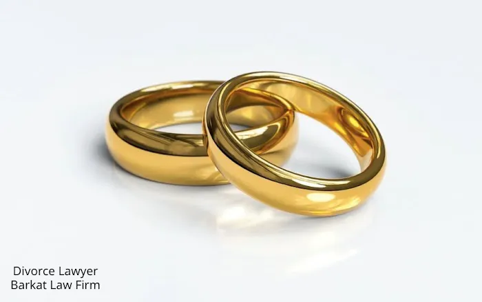Barkat Law Firm Picture 4
