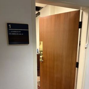 Saeid Amini Law Offices