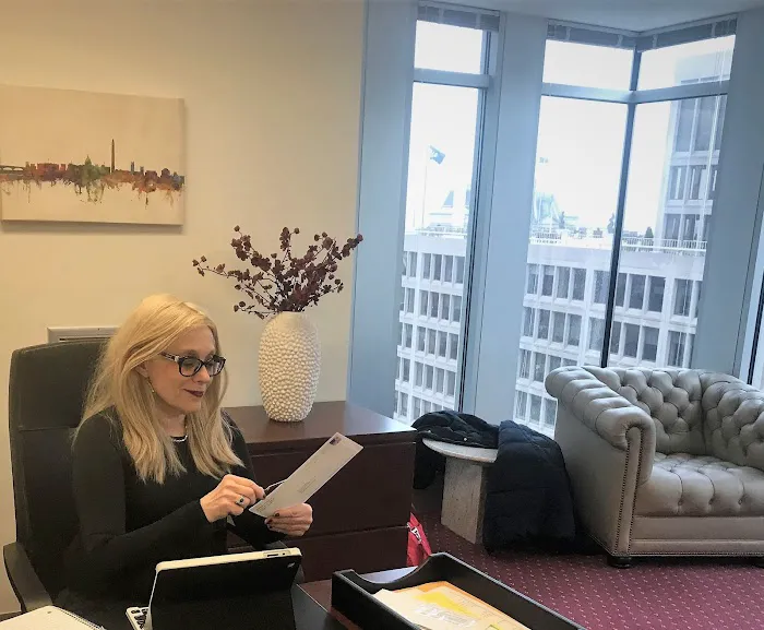 Ellyn Tanenberg, Attorney & CPA Picture 2