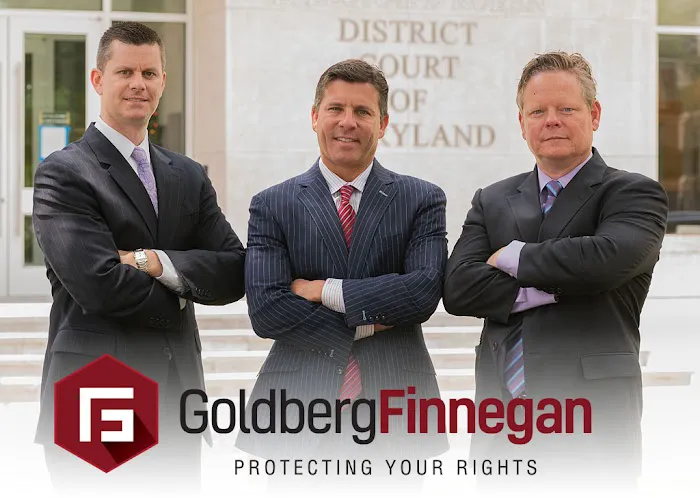 Goldberg Finnegan Picture 4
