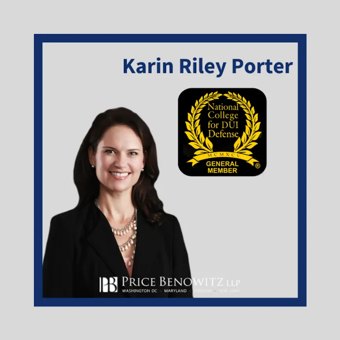 Karin Riley Porter Criminal Defense Attorney Picture 2
