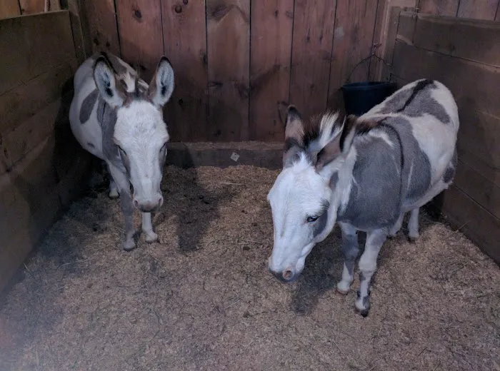 Maddox Hoppe Hoofnagle & Hafey Picture 1