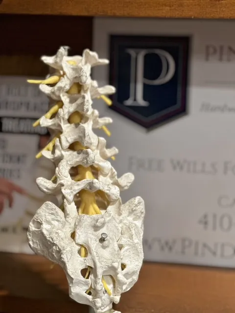 Pinder Plotkin, Personal Injury Lawyer, Laurel Maryland Picture 8