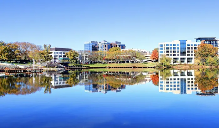 Lilly Law Firm Picture 6