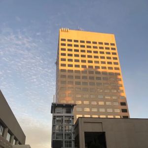 Law Offices of Michael A. Taylor