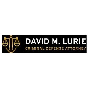 David M. Lurie, Criminal Defense Attorney